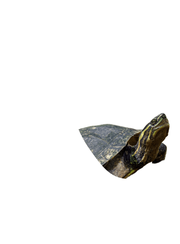ZTjASxIAACEA3FaZ