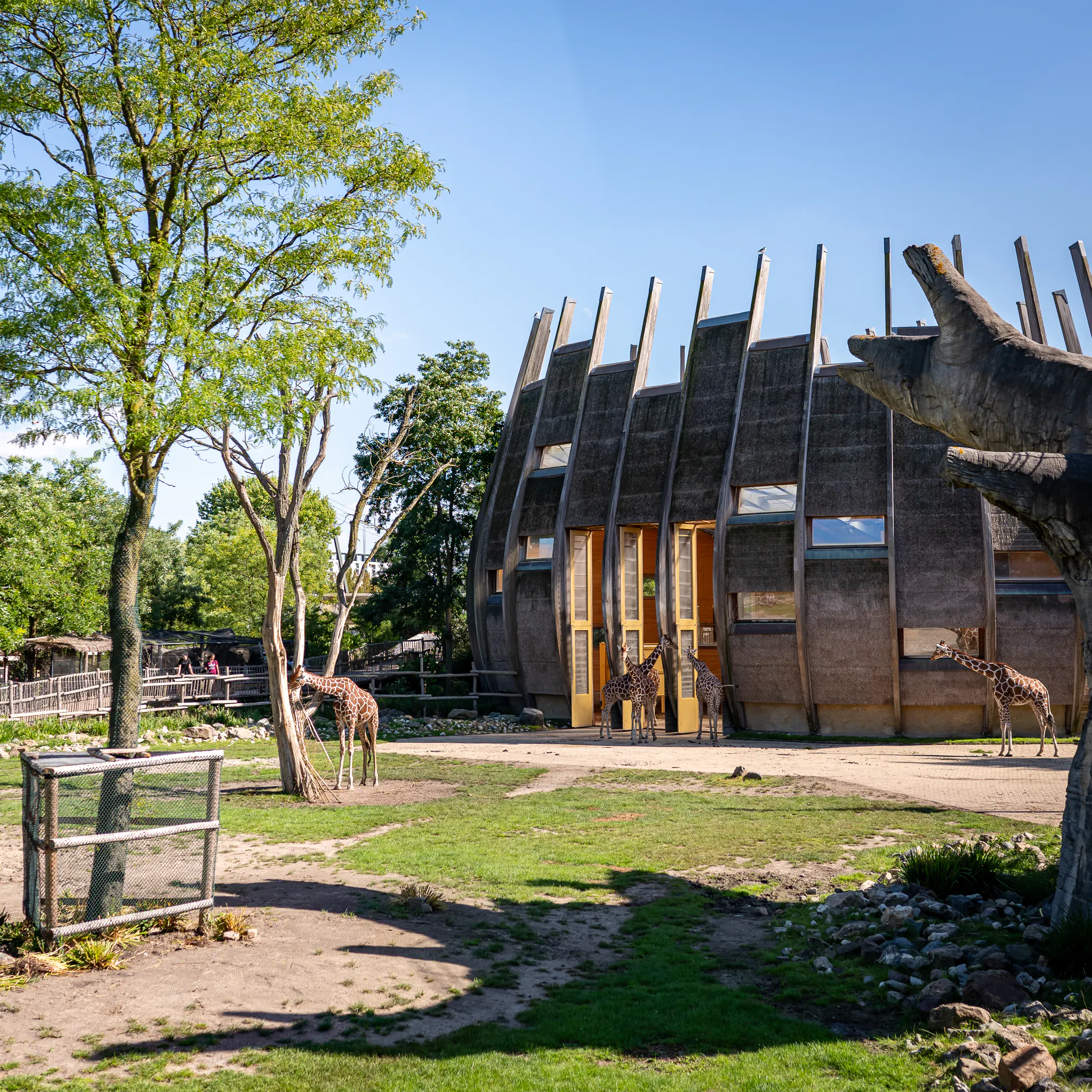 Discover Rotterdam Zoo discover-rotterdam-zoo