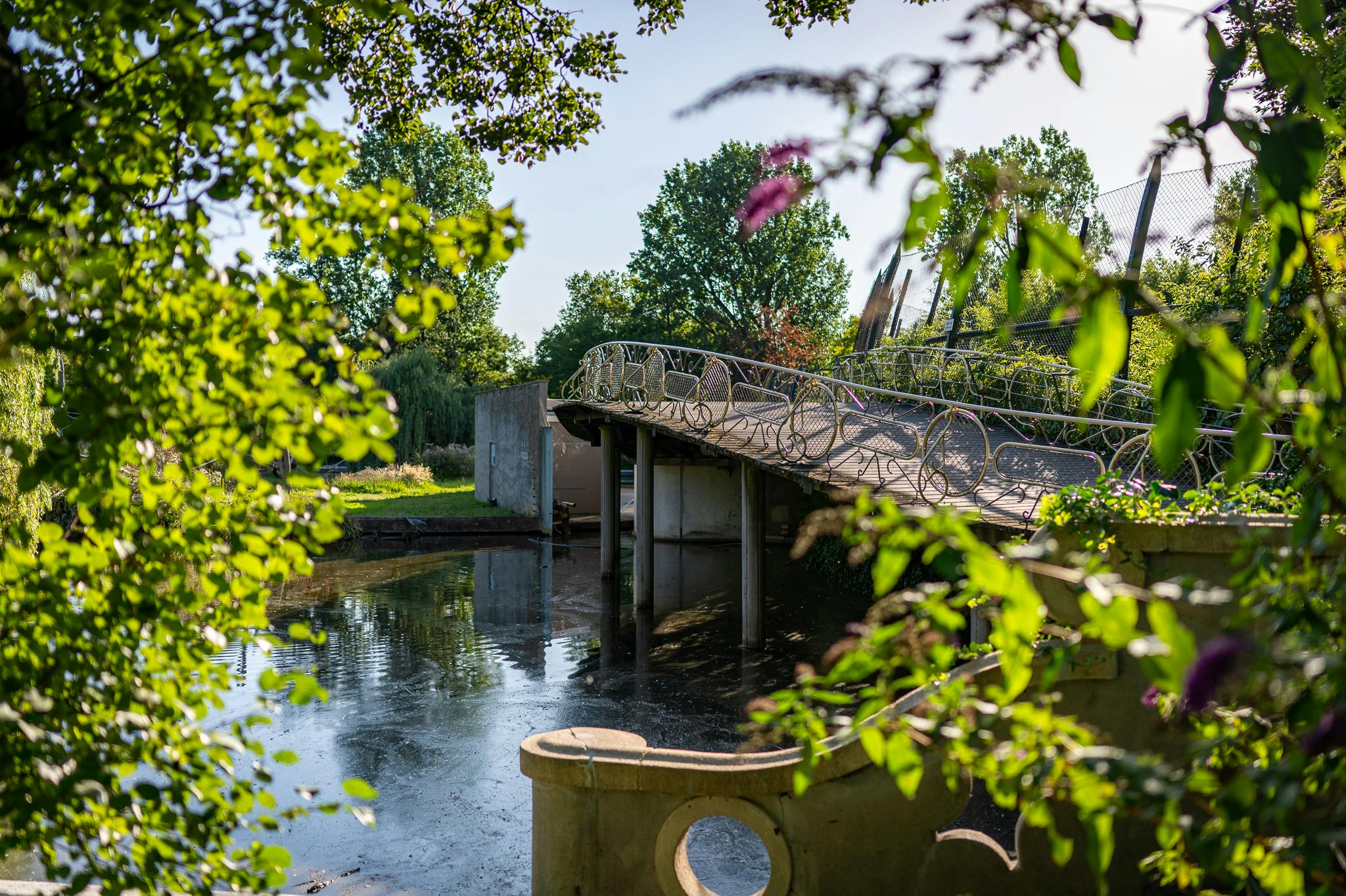 Doorkijkje door bomen naar de brug bij de grote vijver