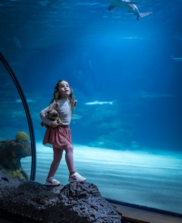 Meisje in de haaientunnel van het Oceanium.
