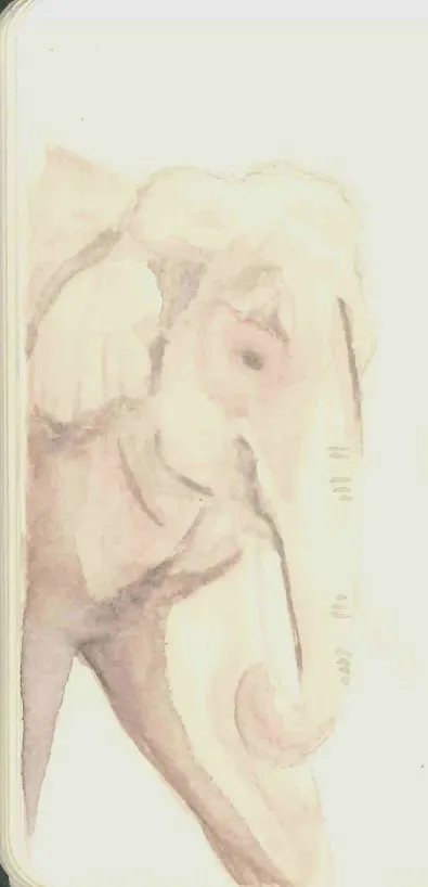 RzXkKP9C27rbiUm9