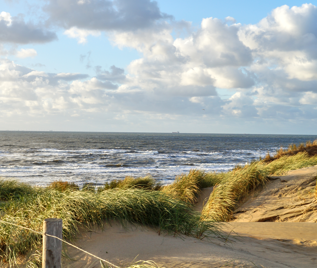 Noordzee