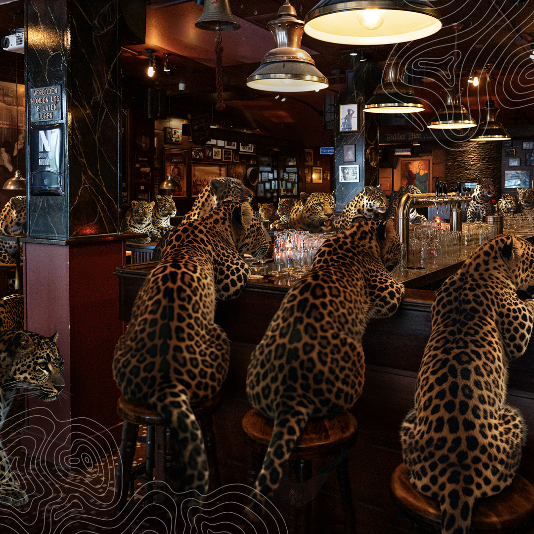 Amoerpanters in Melief Bender