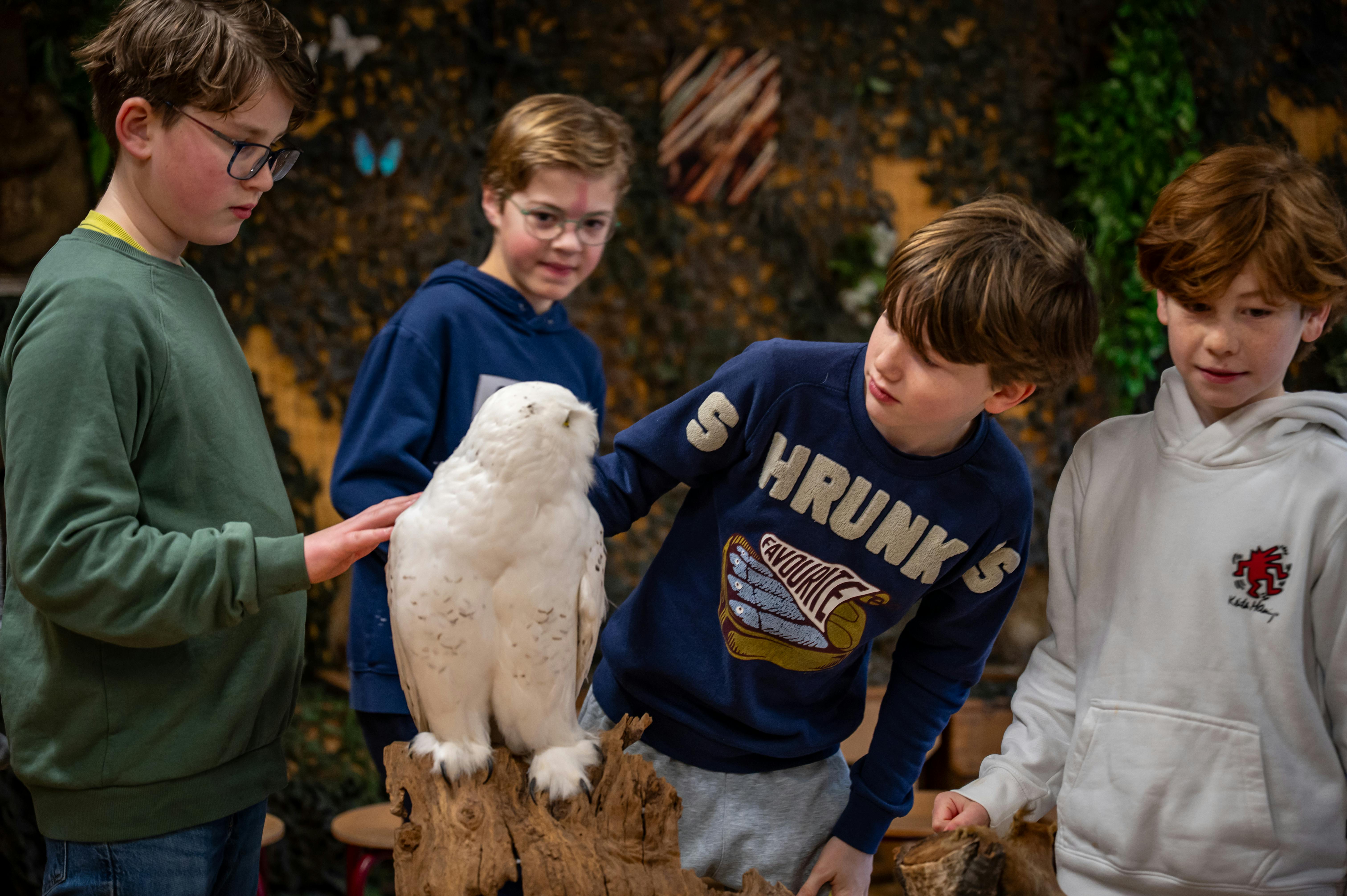Kinderen in een les
