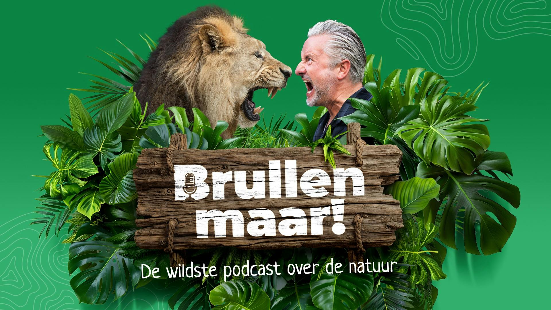Campagnebeeld Brullen Maar