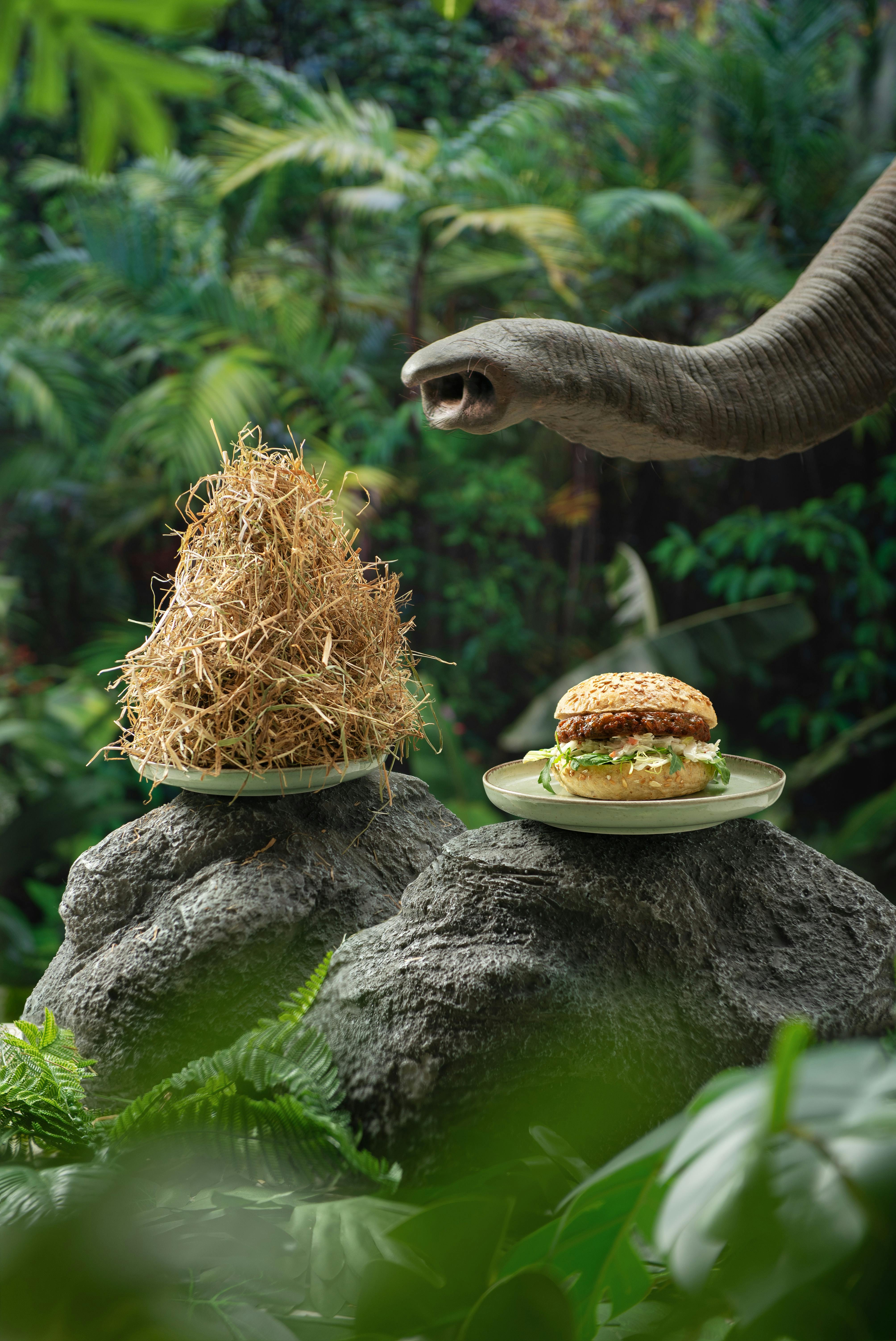 Olifantastic burger