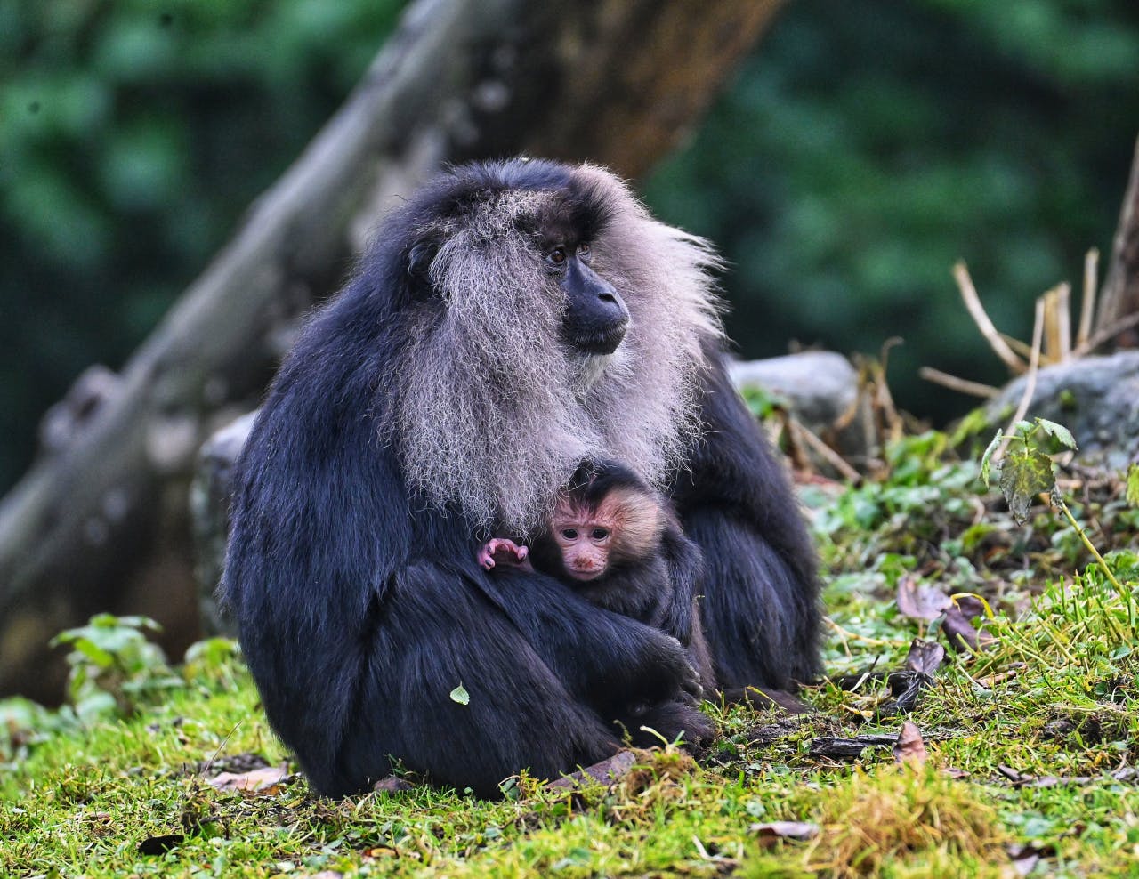 Test Omnidesk Contact Form