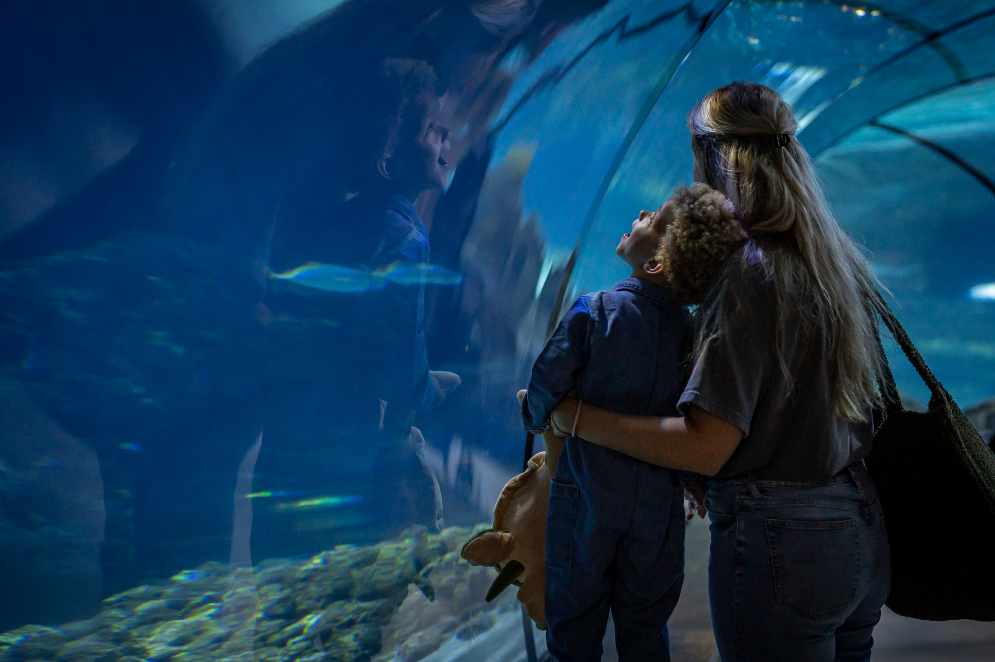 Vrouw en zoon in haaientunnel
