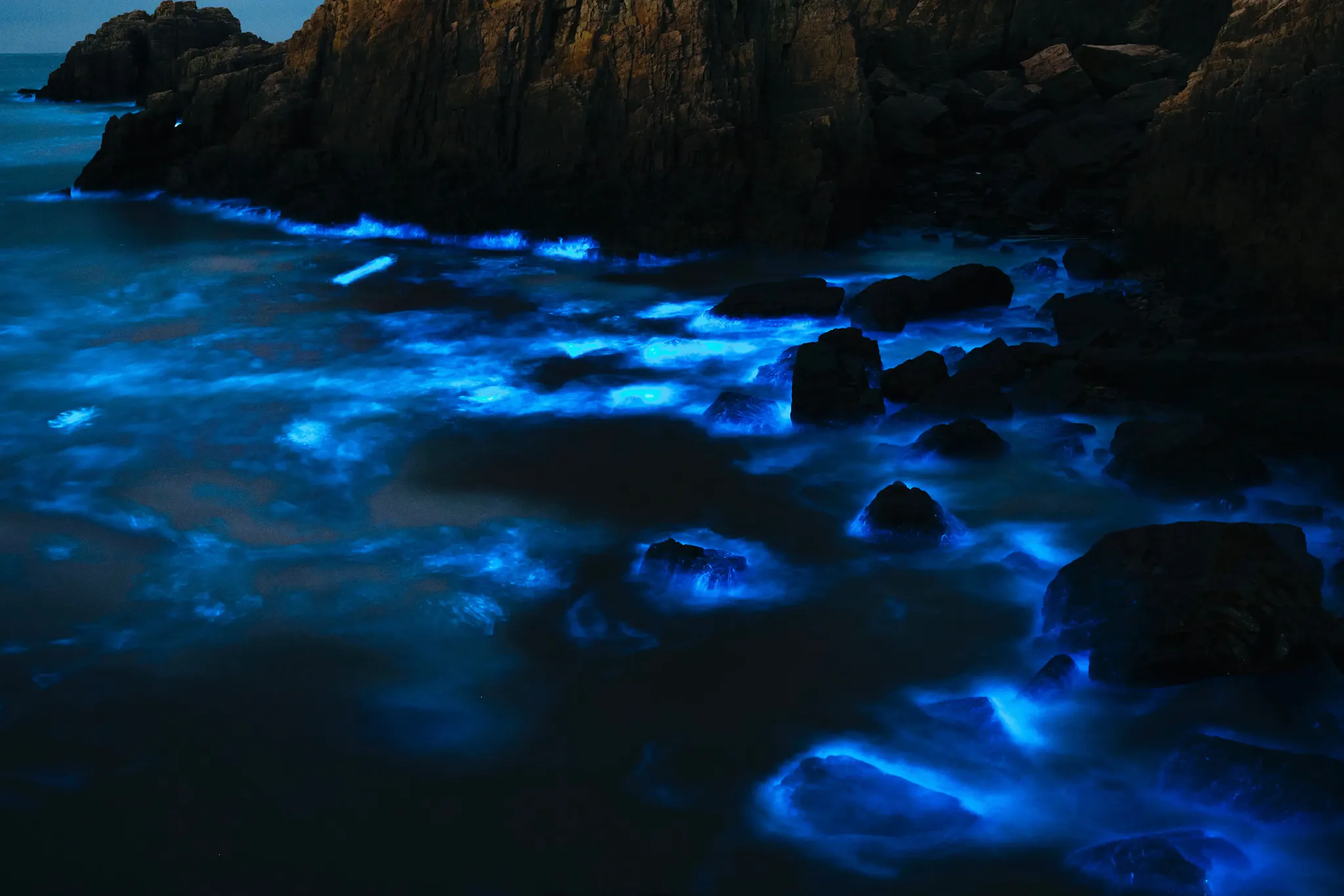 La bioluminescenza alle maldive
