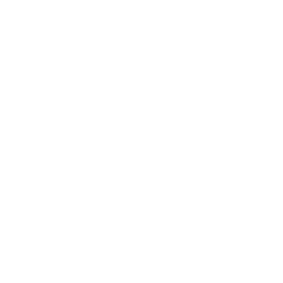 Flibco