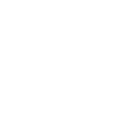Dott