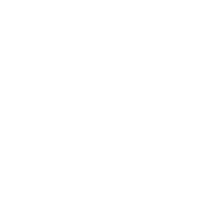 Mitt