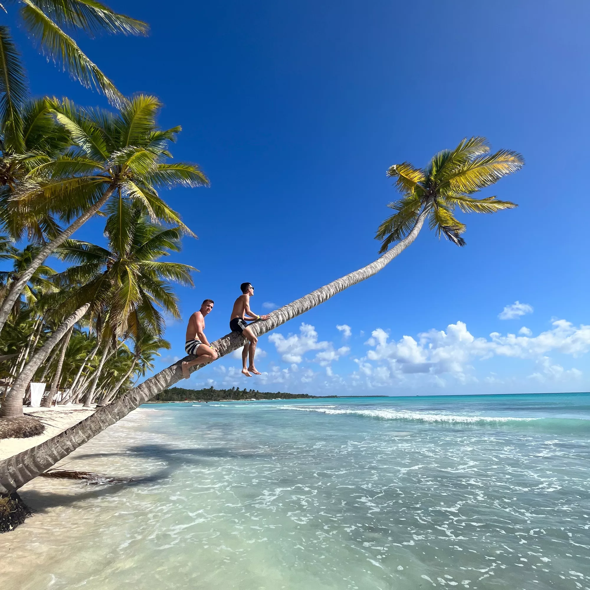 2 ragazzi seduti su una palma in spiaggia in Repubblica Dominicana
