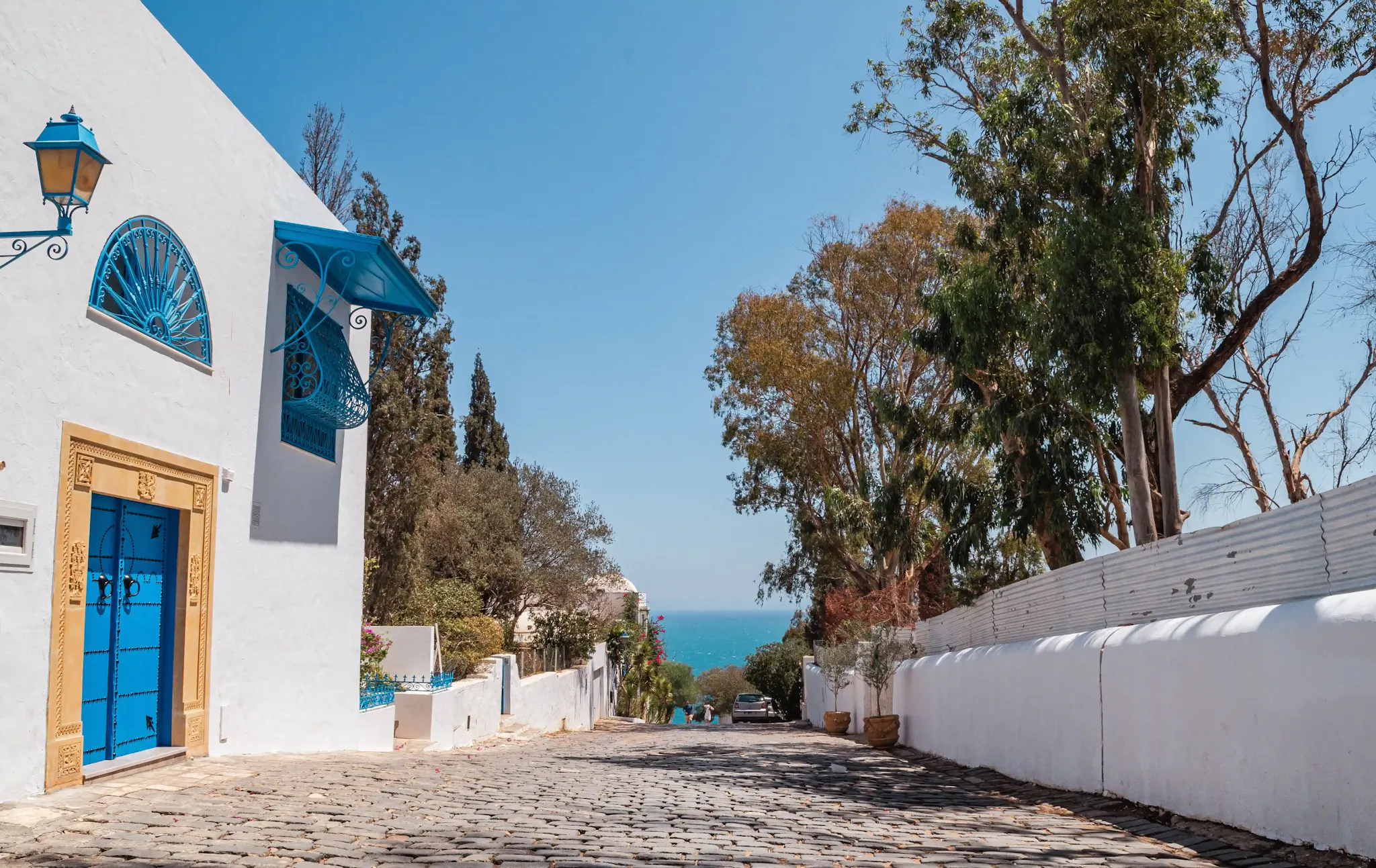 Sidi Bou Said, da vedere in tunisia