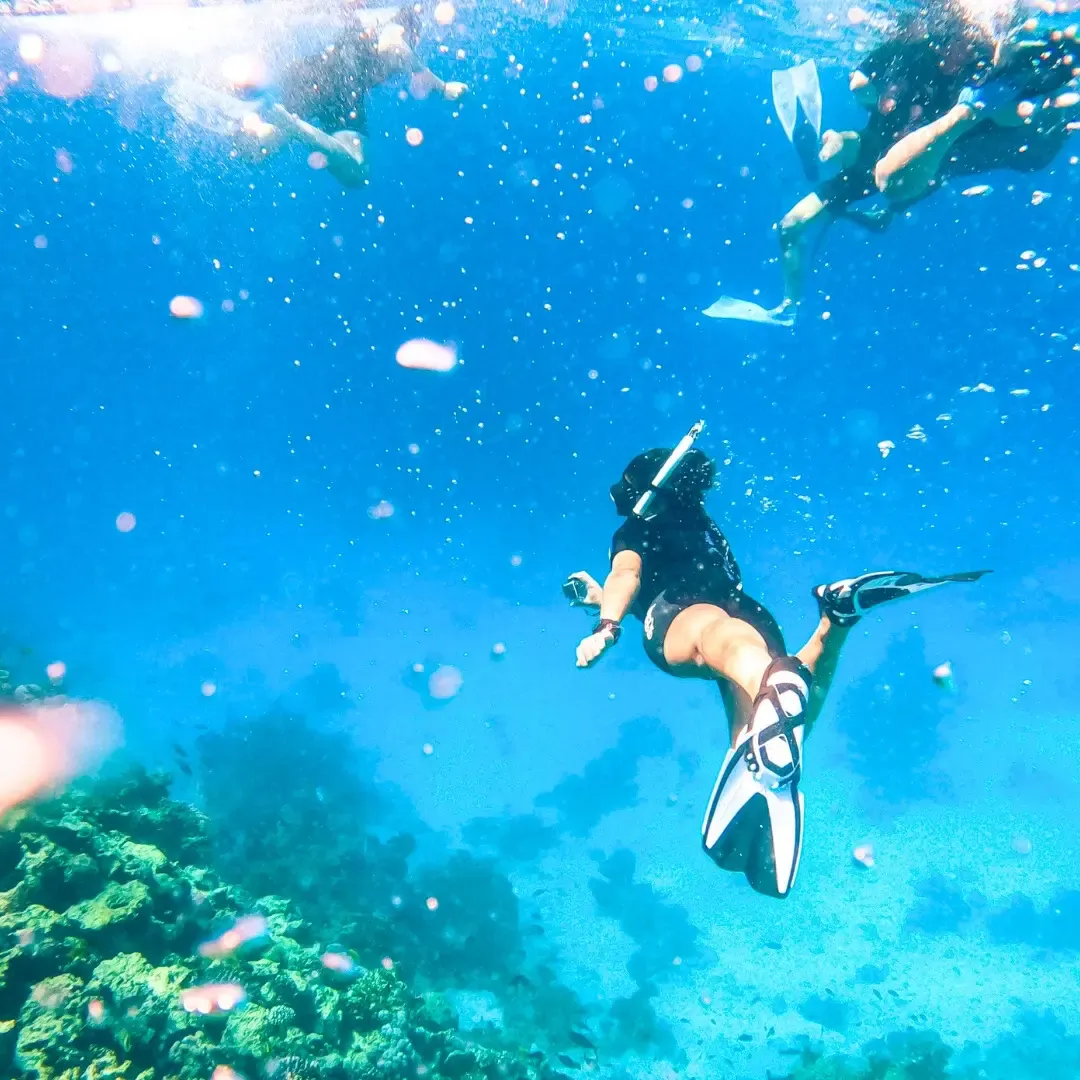 Snorkeling a Sharm El-Sheikh nella barriera corallina del Mar Rosso