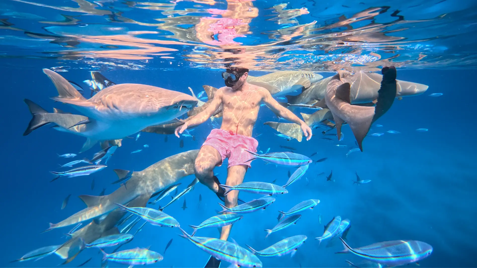 Maldive snorkeling