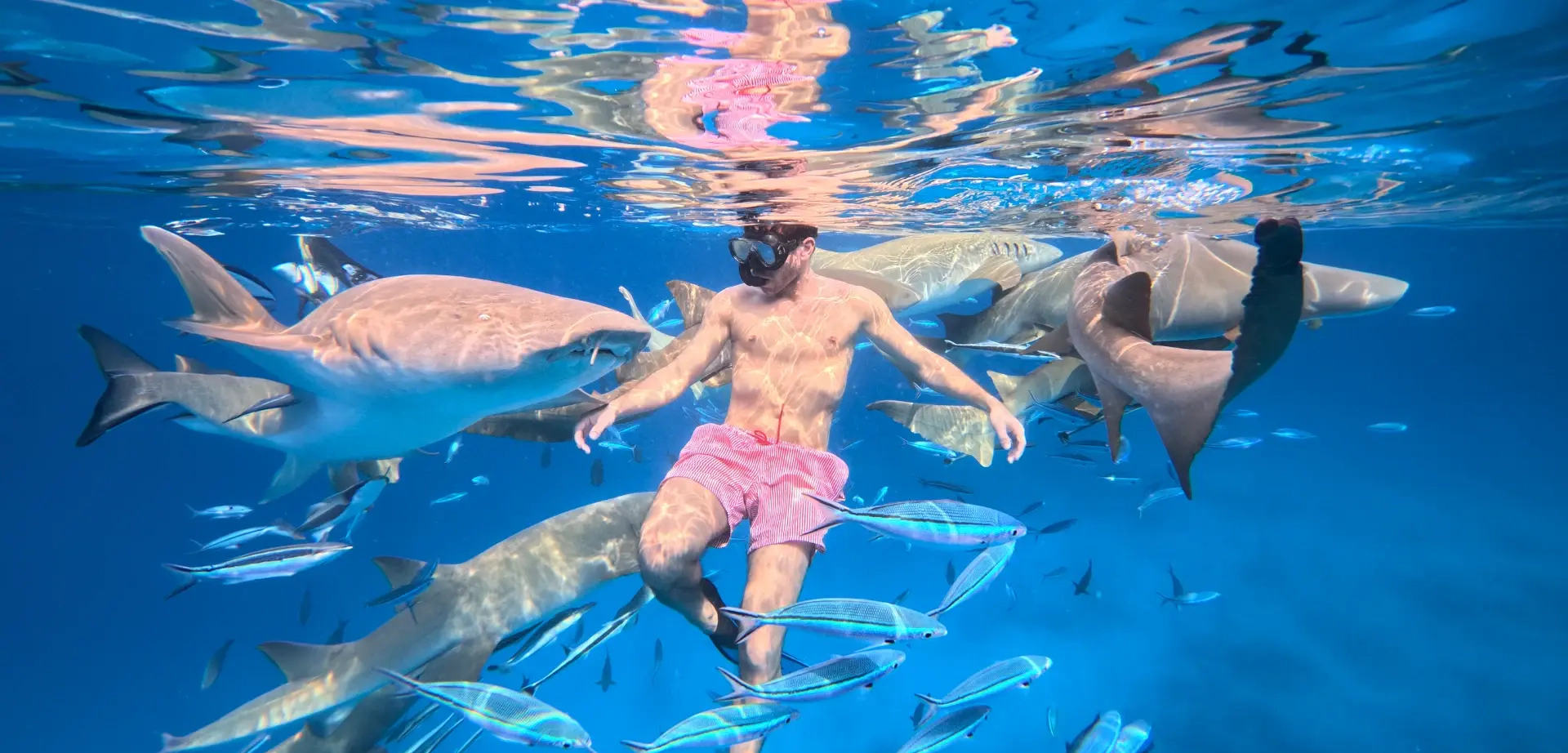 Maldive snorkeling