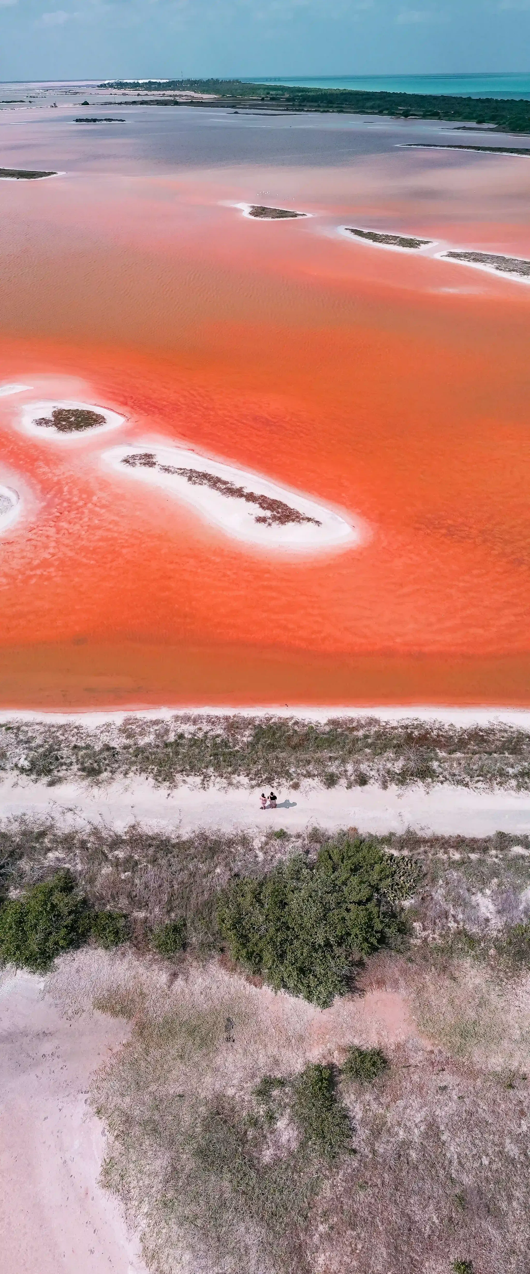 Le lagune rosa di Las Coloradas