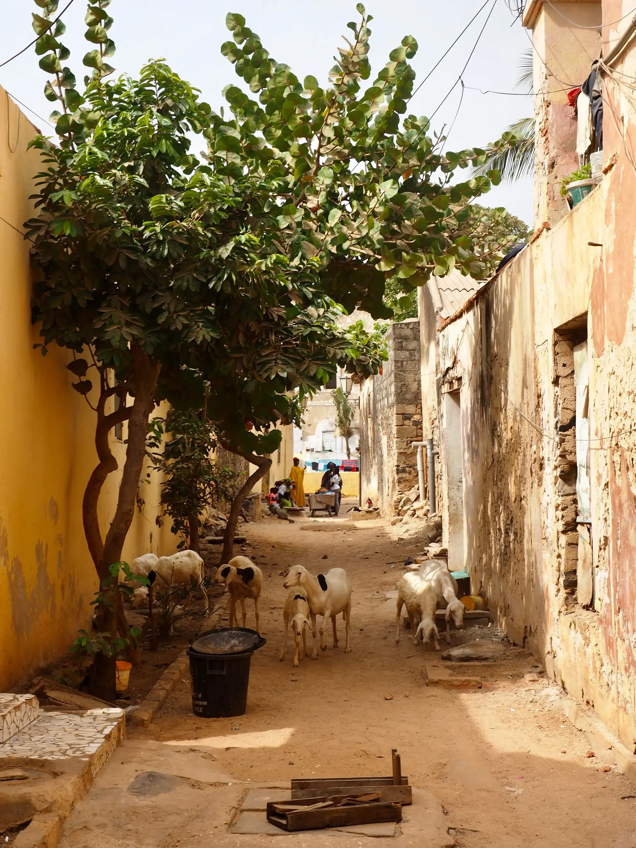 Vie di Lamu, in Kenya