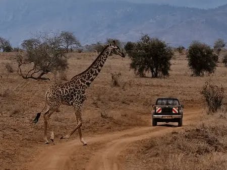 Esperienza in Kenya - Safari Tzavo West