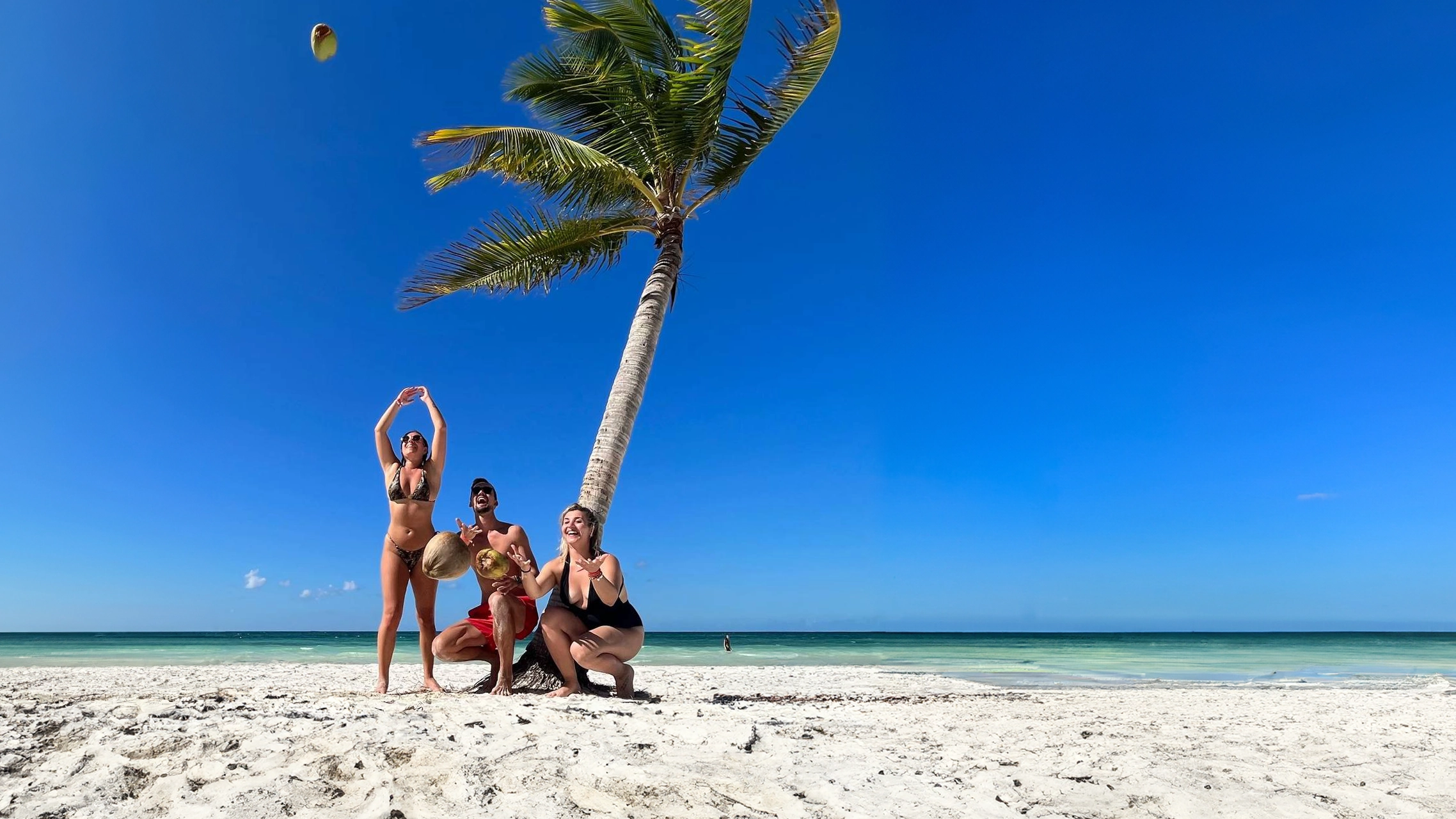 Foto di gruppo sotto una palma in spiaggia in Repubblica Dominicana