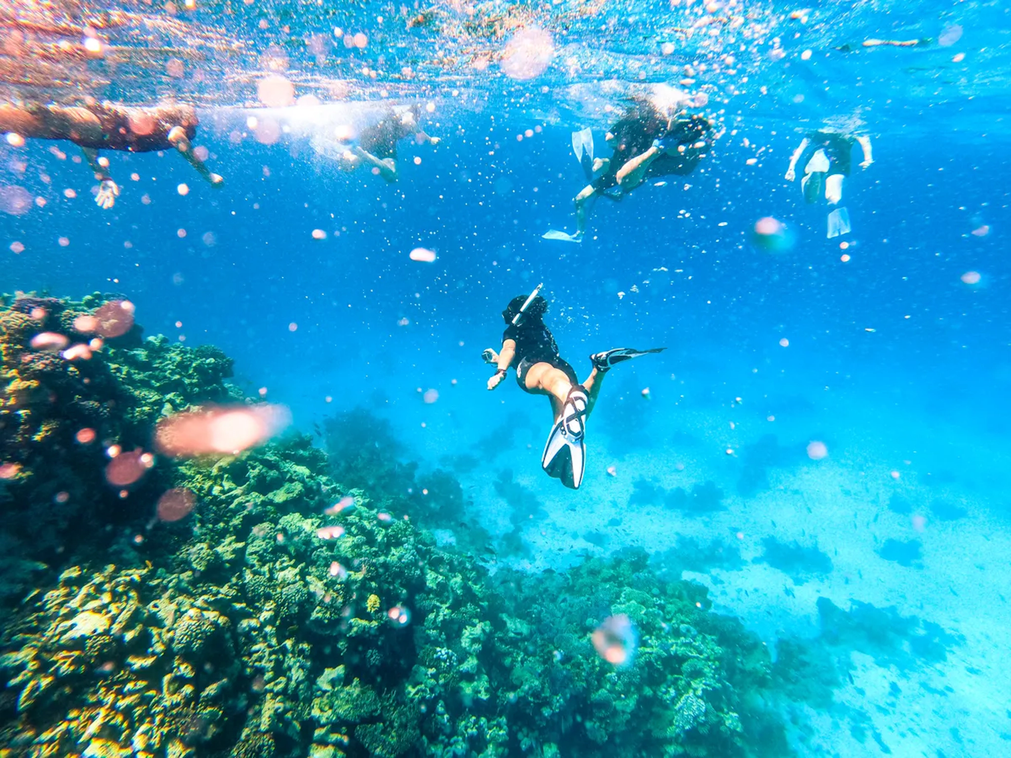 Snorkeling a Sharm El-Sheikh
