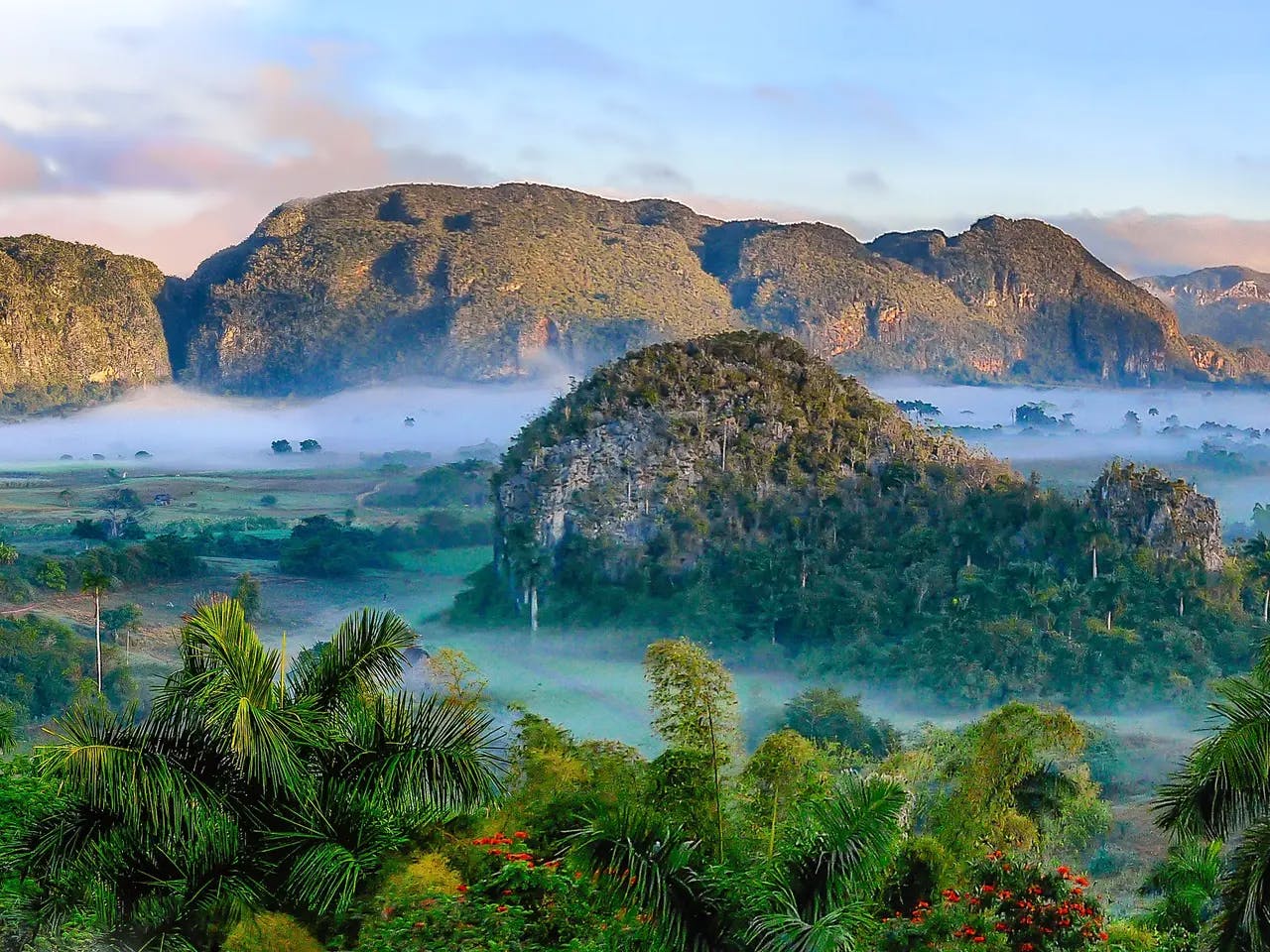 Esperienza a Cuba - Valle di Viñales