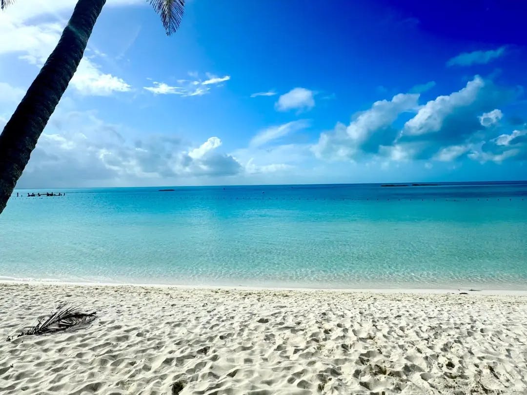 Esperienza in Messico - Sian ka'an