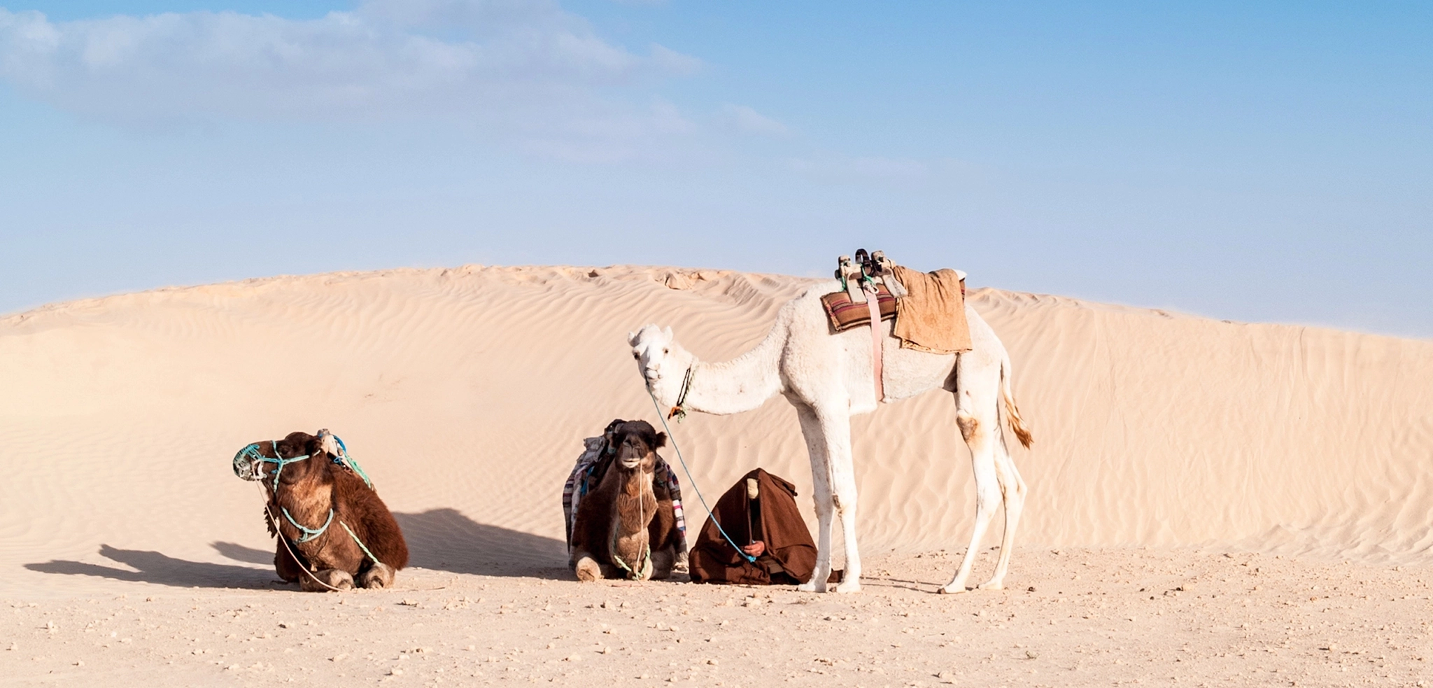 Se fai un viaggio di una settimana in Tunisia, vedrai sia deserto che mare!