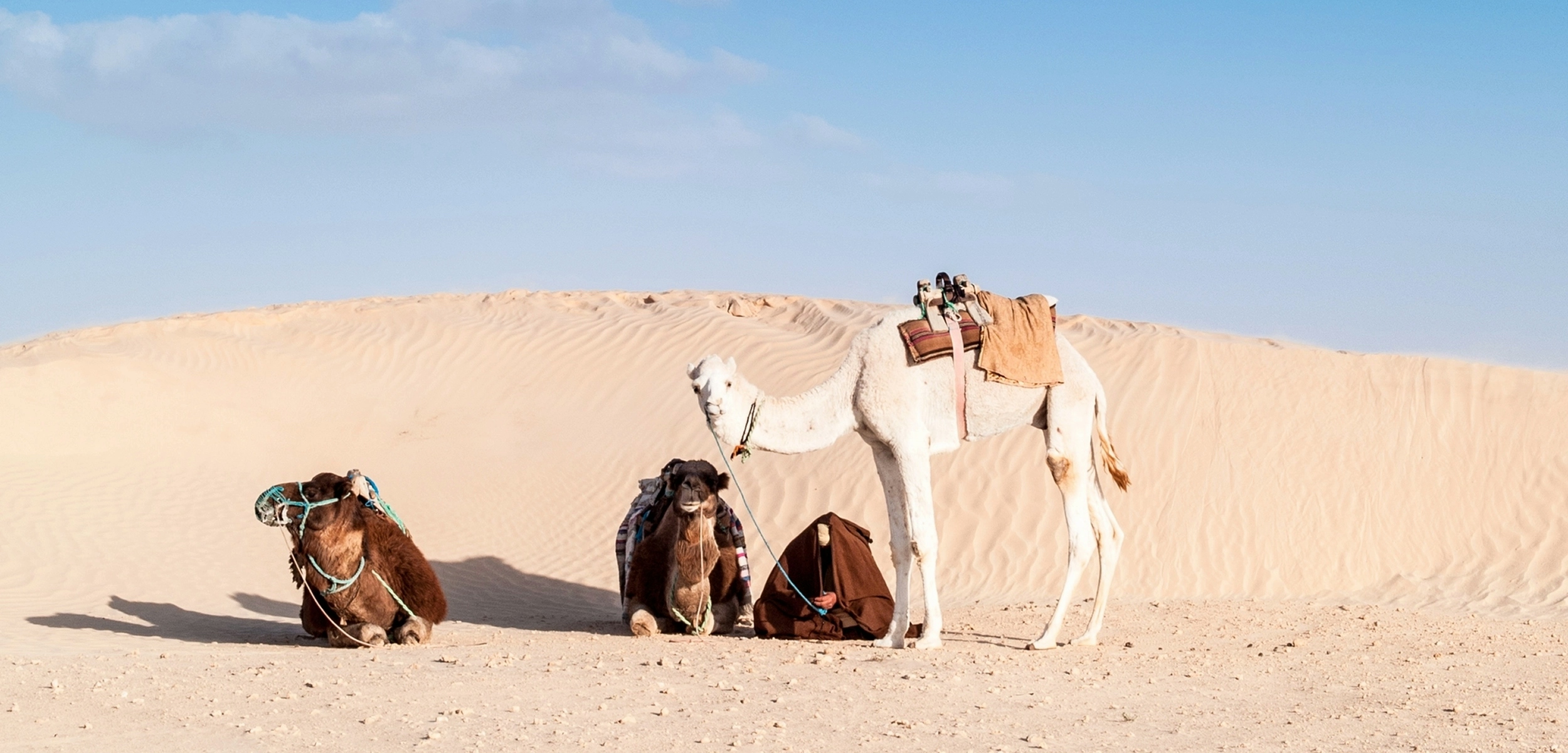 Se fai un viaggio di una settimana in Tunisia, vedrai sia deserto che mare!