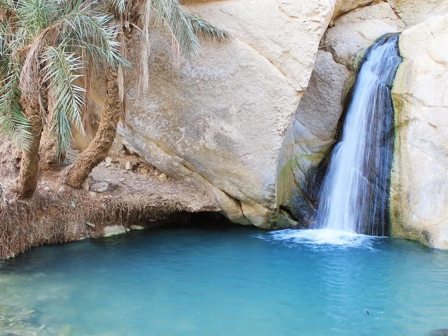 Esperienza in Tunisia - Deserto del Sahara 2
