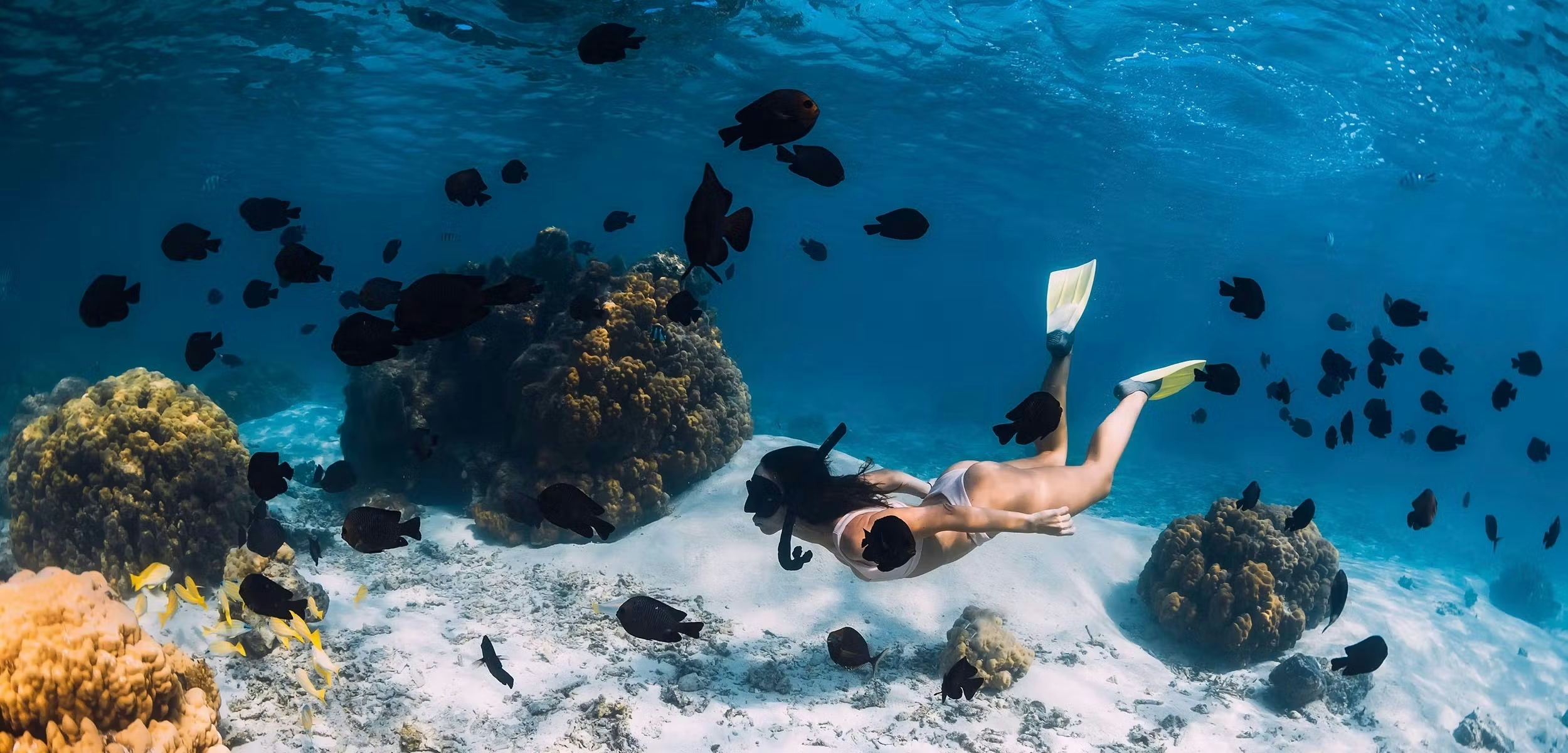 ragazza che fa snorkeling nella barriera corallina di Marsa Alam