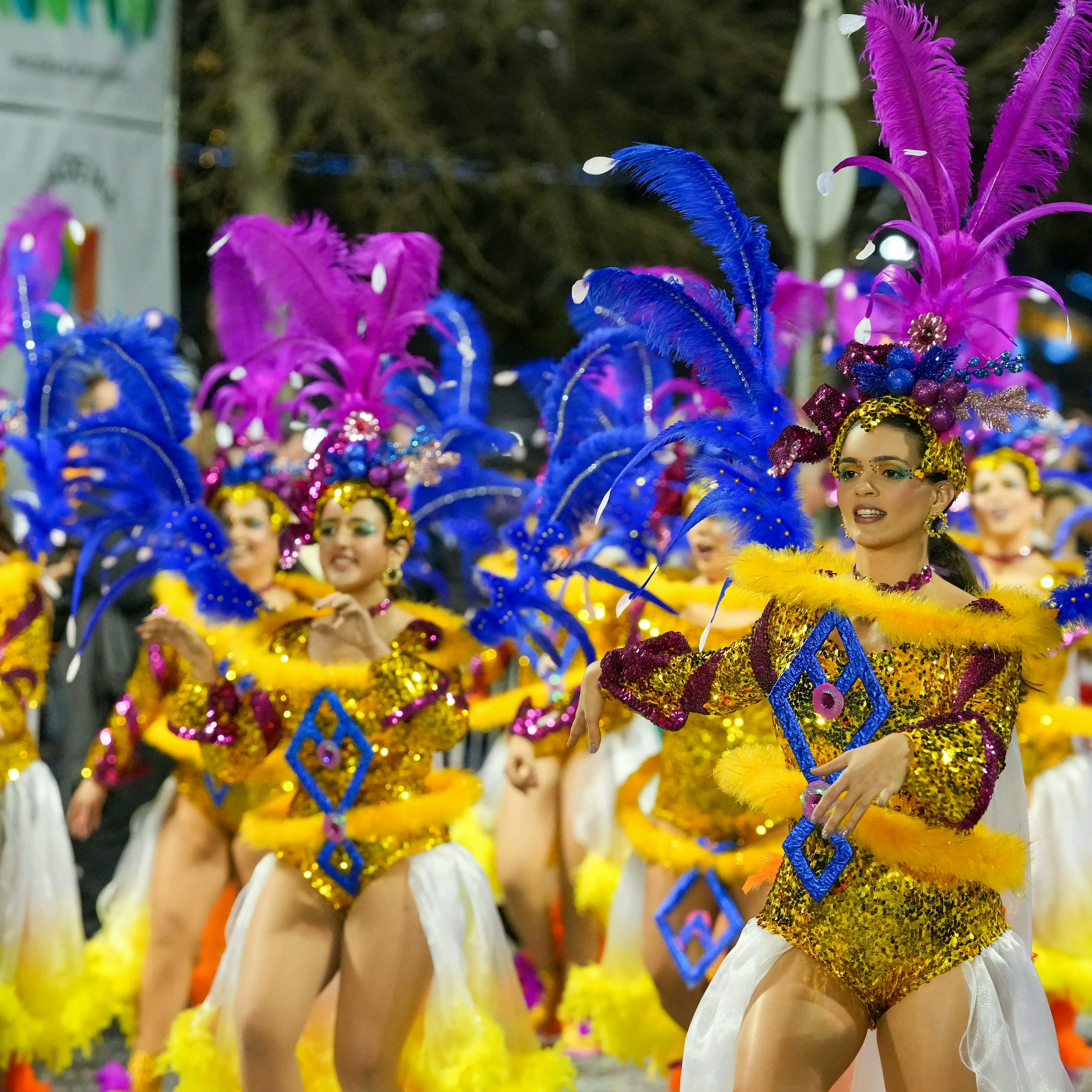I balli di samba del Carnevale di Rio de Janeiro