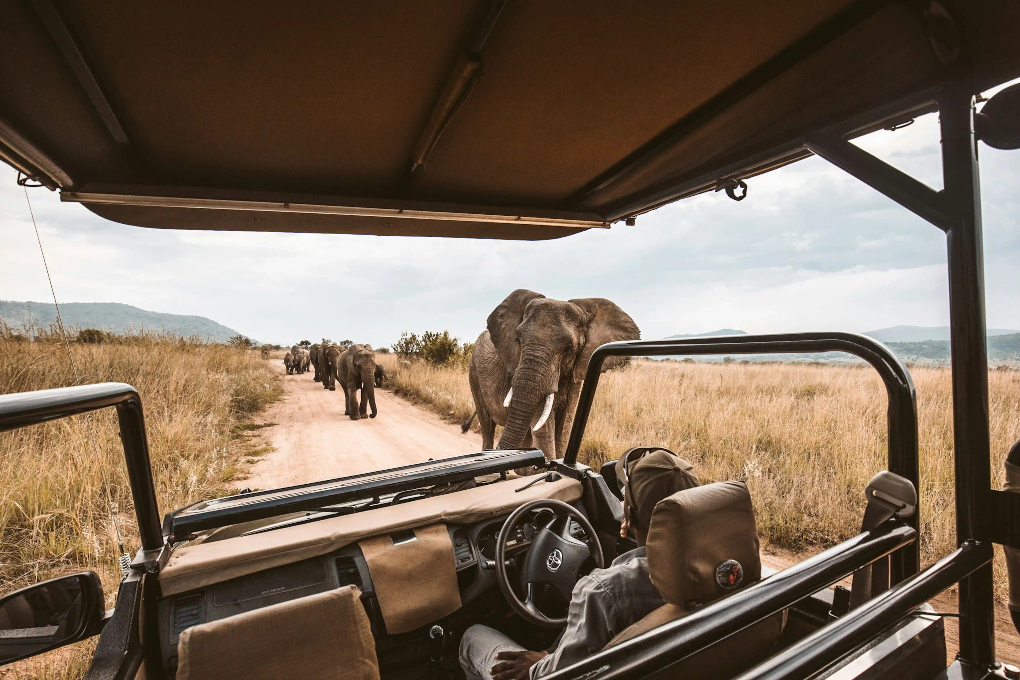 Dove fare un Safari e dove potersi godere uno spettacolo come questo