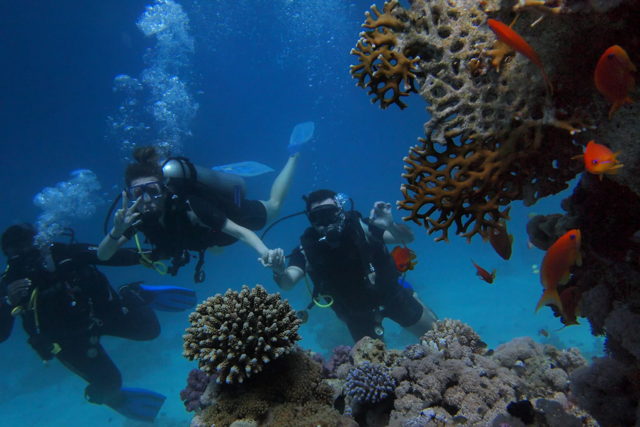 Fai diving a Marsa Alam