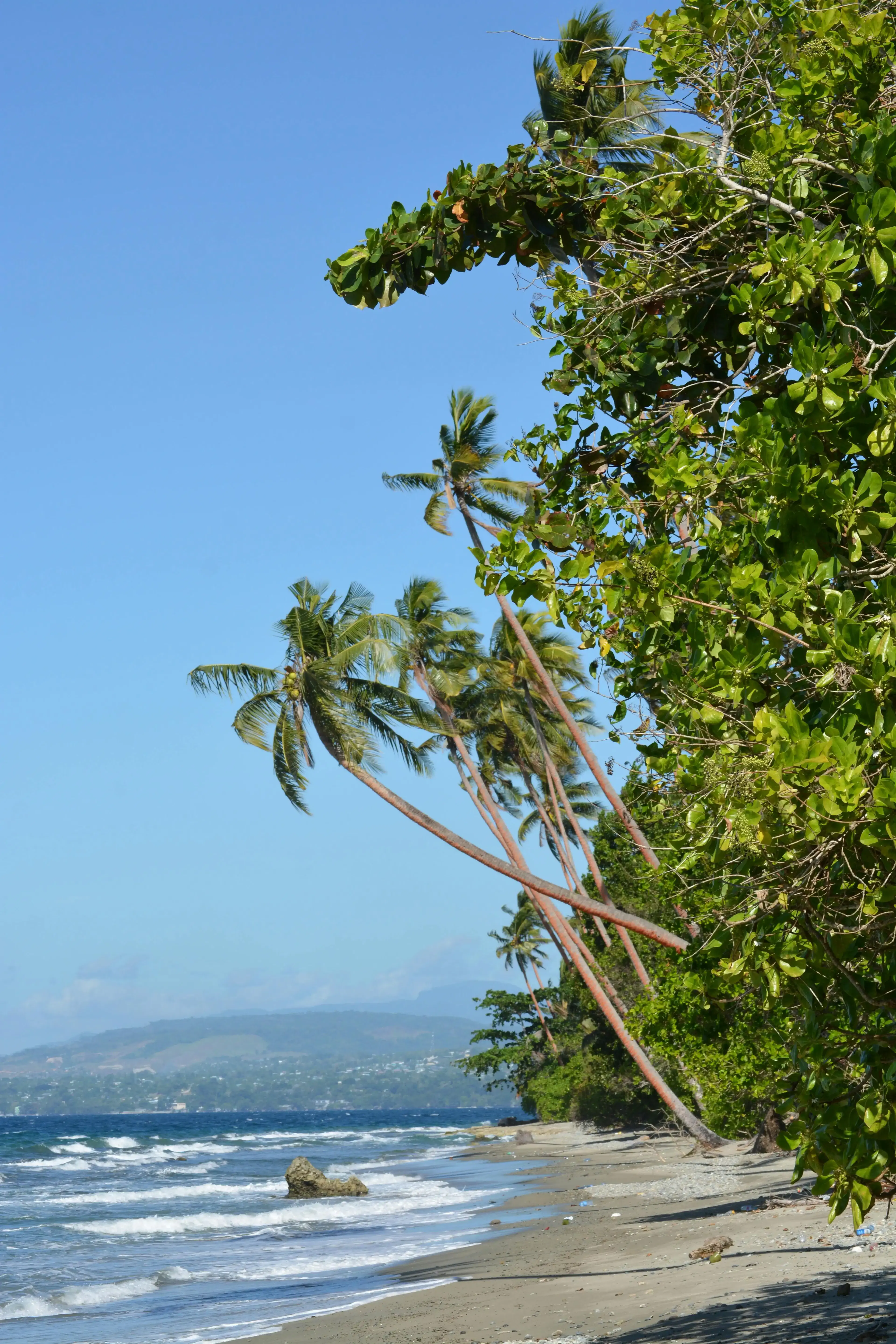Spiagge autentiche e selvagge della Giamaica