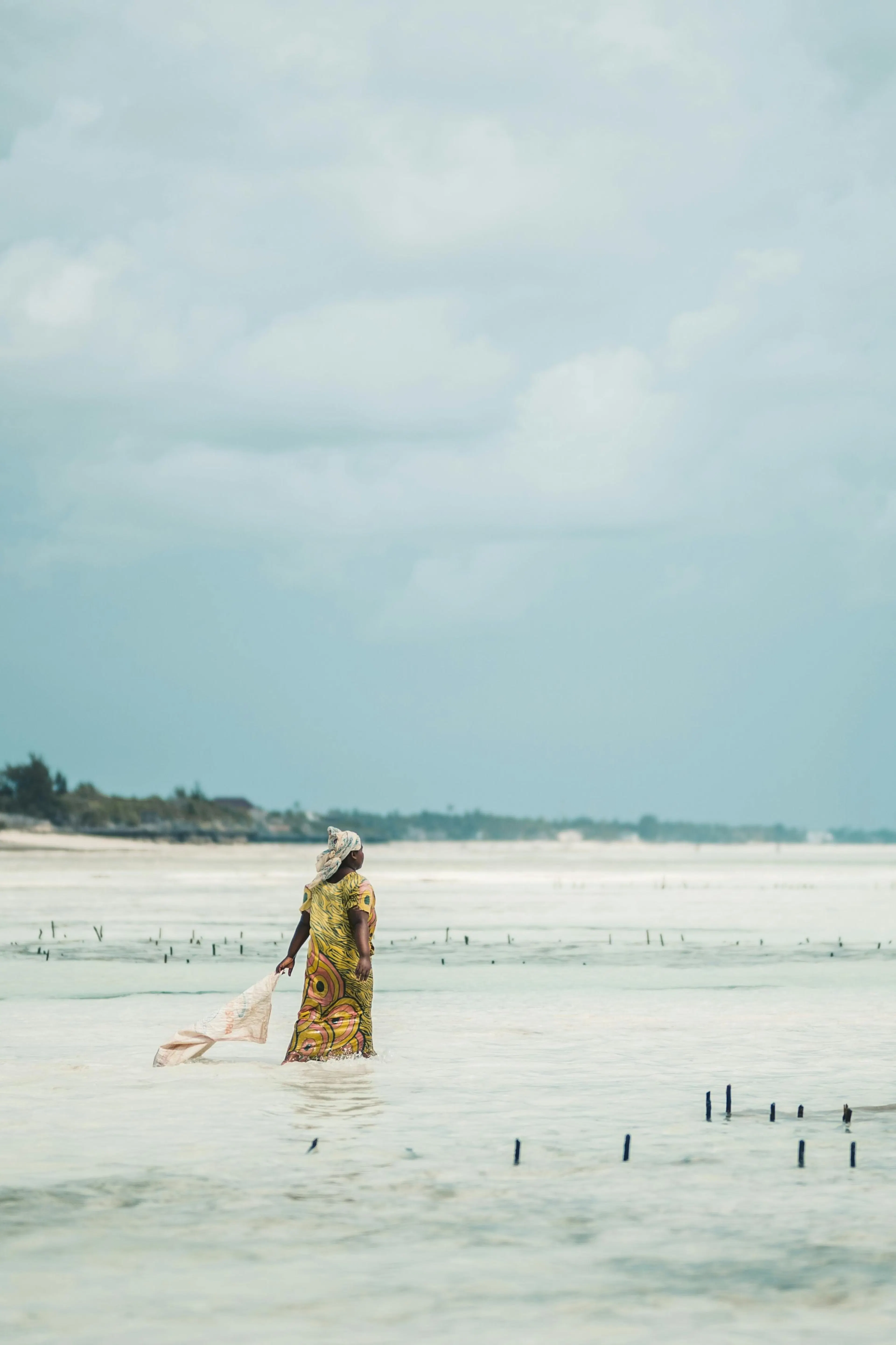 Il mare incredibile di Zanzibar