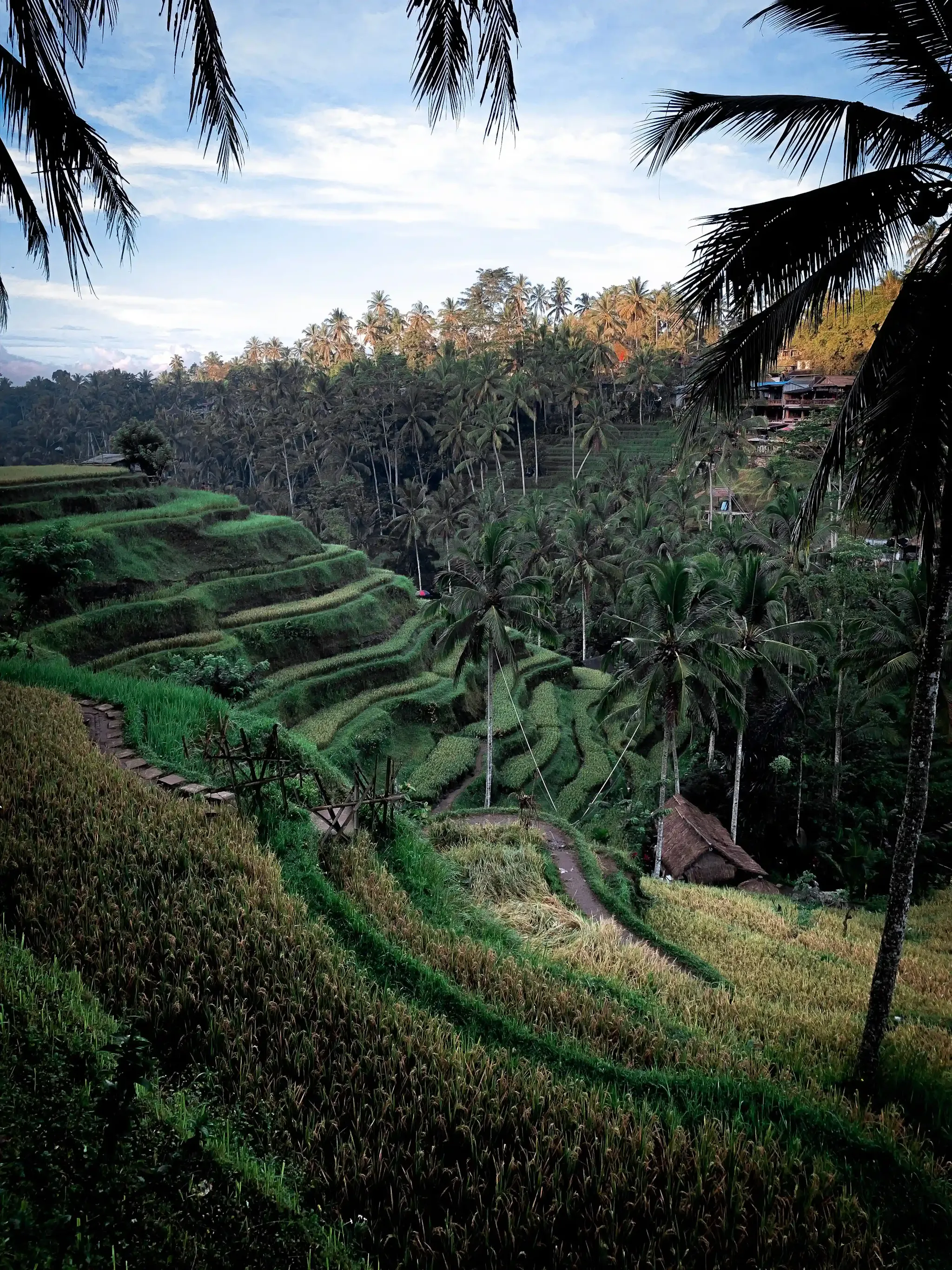 Ubud, la città più famosa di Bali