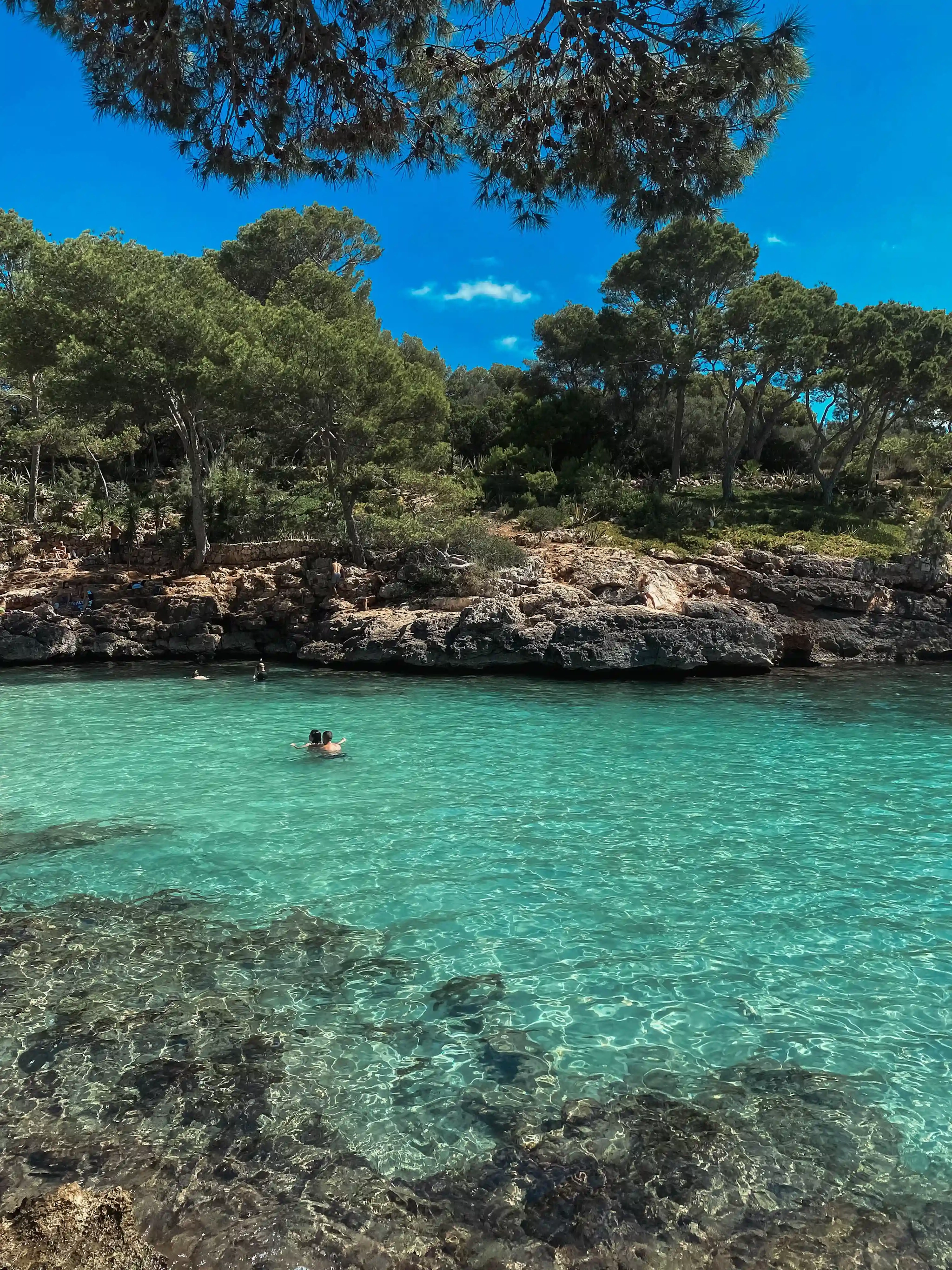 Il periodo migliore per godersi Maiorca così
