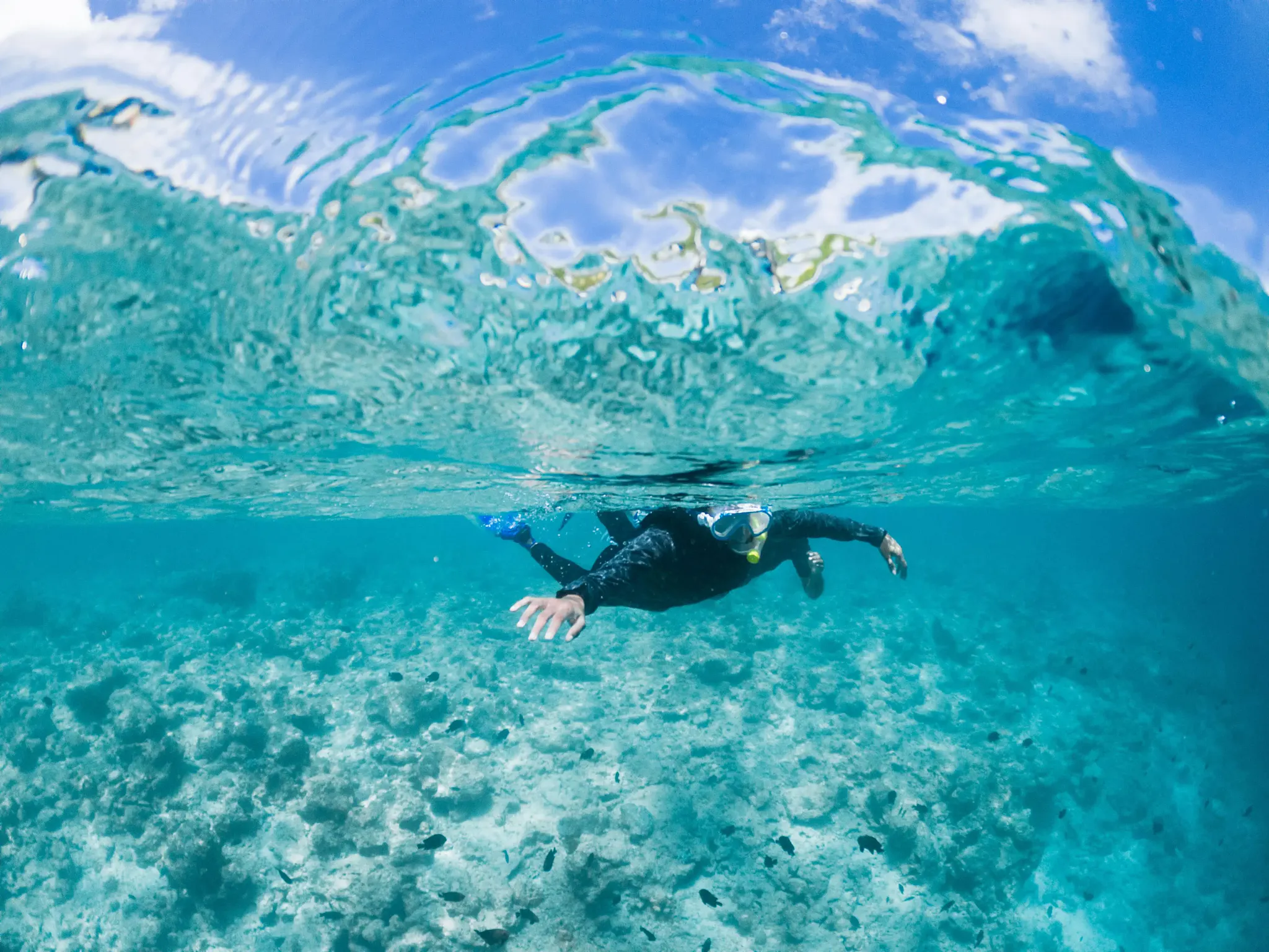 Nuotatore che fa snorkeling