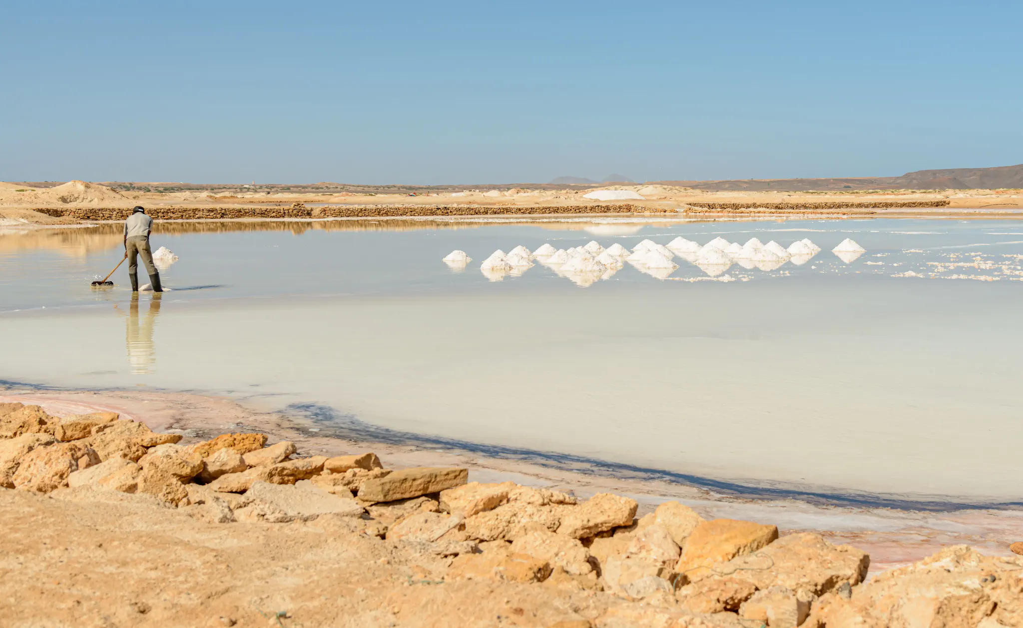 chott el jerid