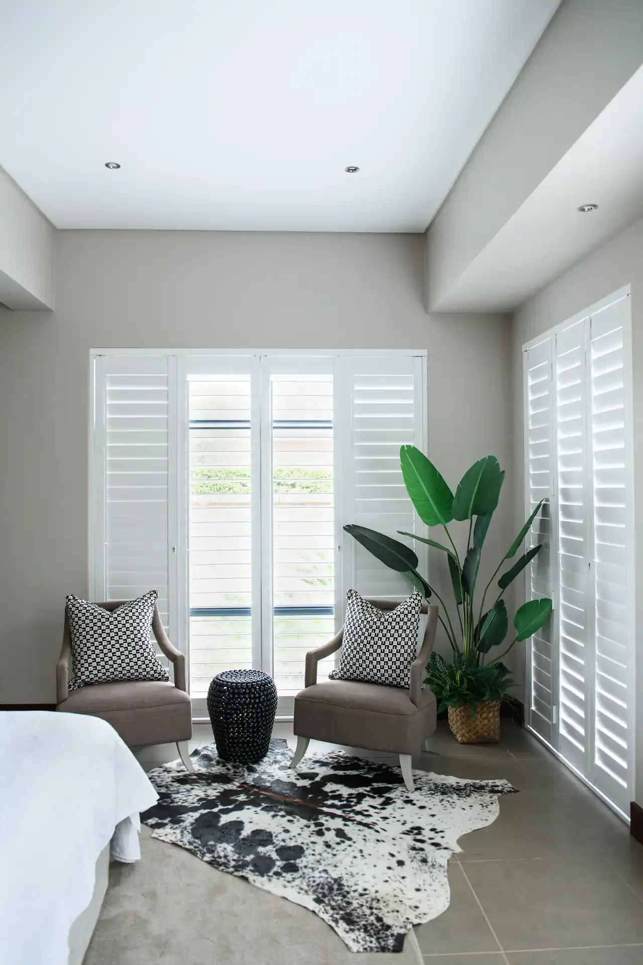 White plantation shutters filter daylight across two armchairs with patterned cushions in a neutral room with a cowhide rug and a tall potted plant.