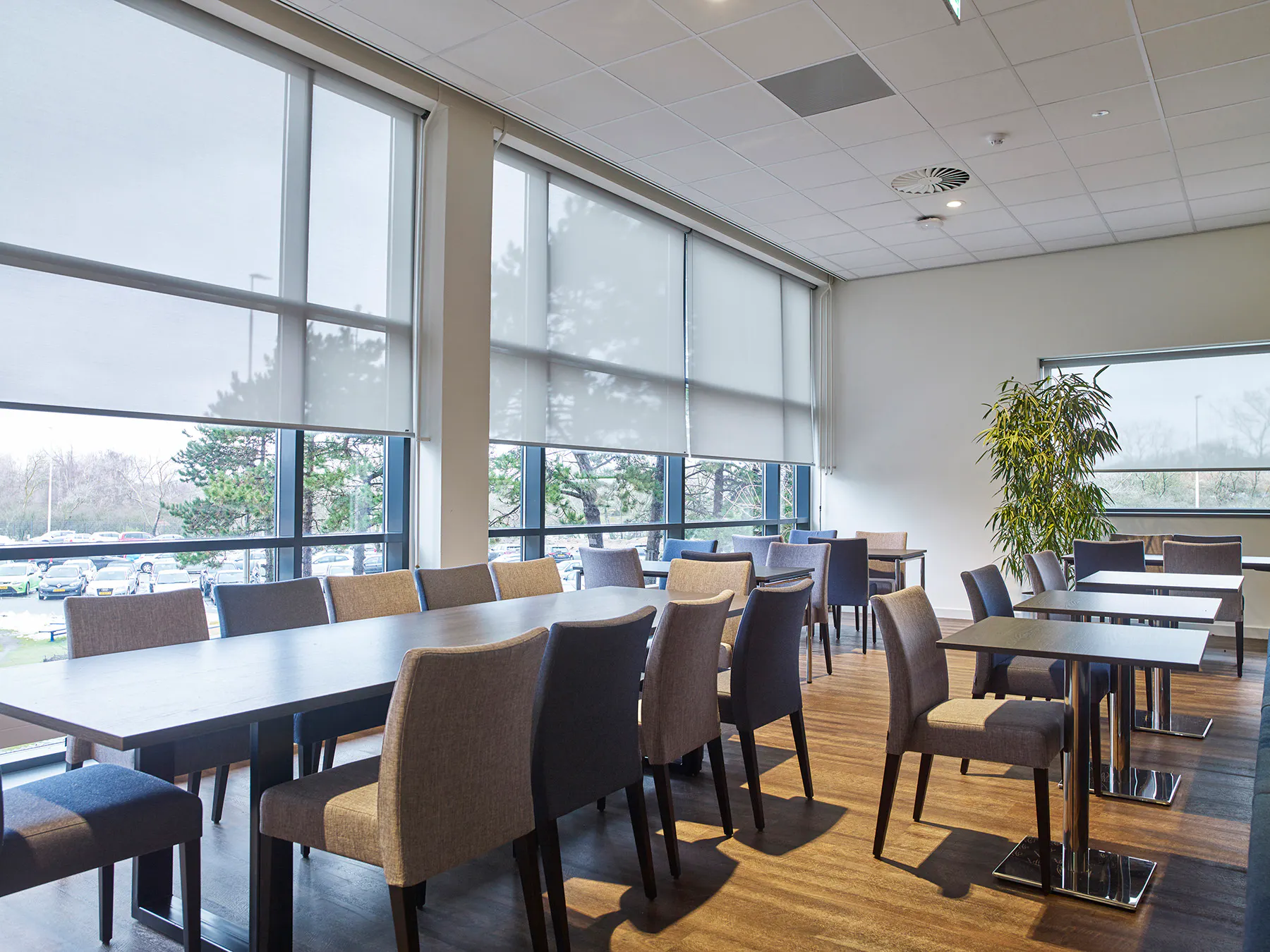 Roller blinds lowered, diffusing daylight across a modern cafeteria with rows of tables and chairs, wooden floor, potted plant and large windows overlooking a