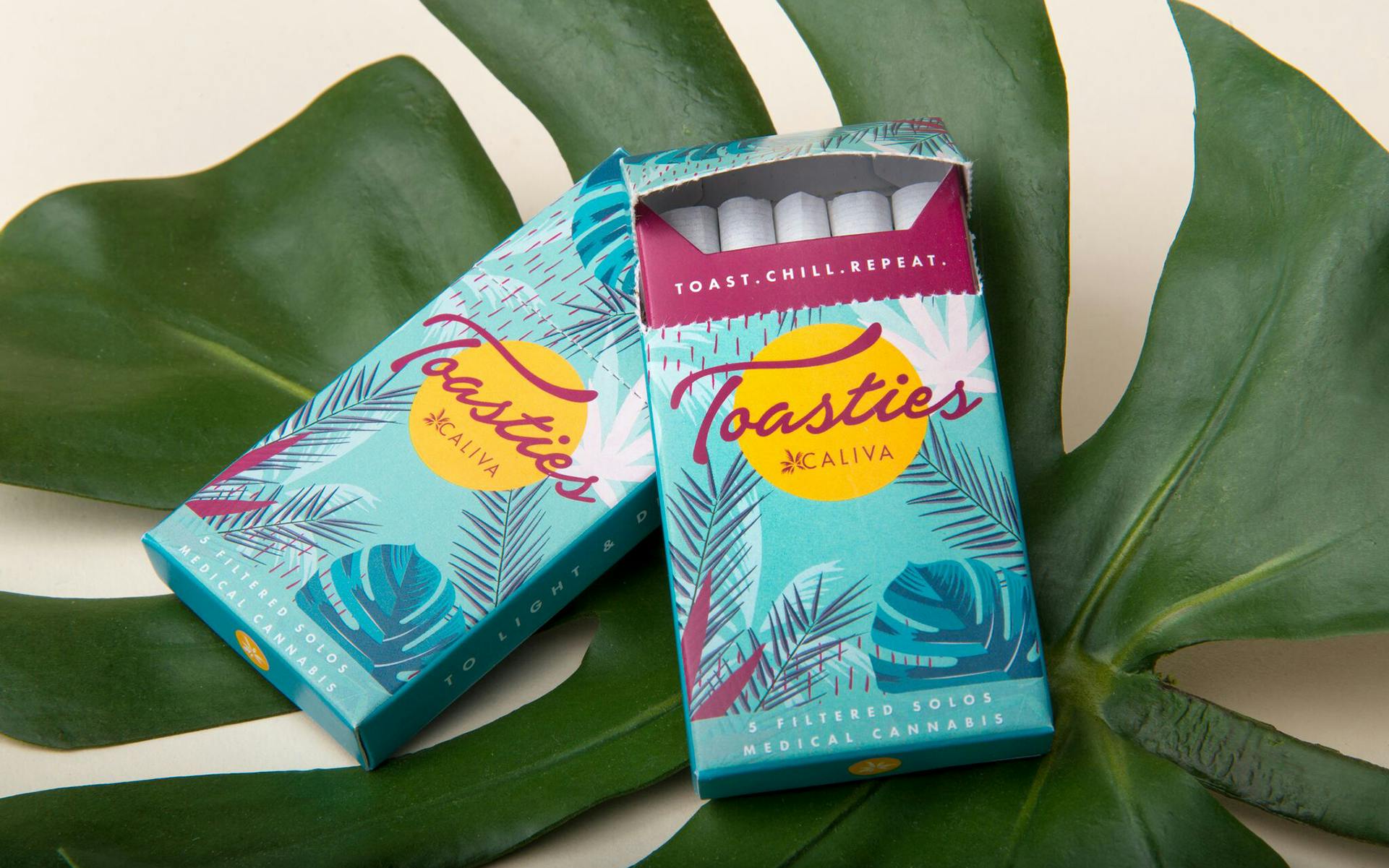 Toastles Blog banner