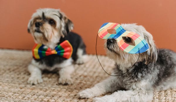 Disfraces de última hora para Carnaval 