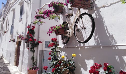 Bicicleta colgada en la pared exterior de una casa 