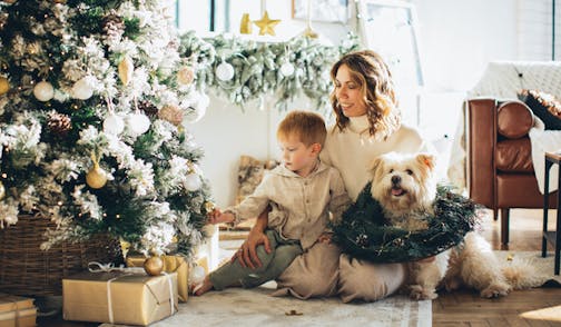 Decora tu casa en Navidad en familia 