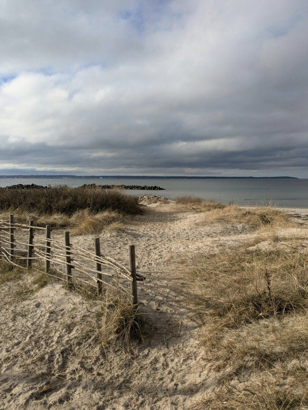 Plage avec des dunes de sable
