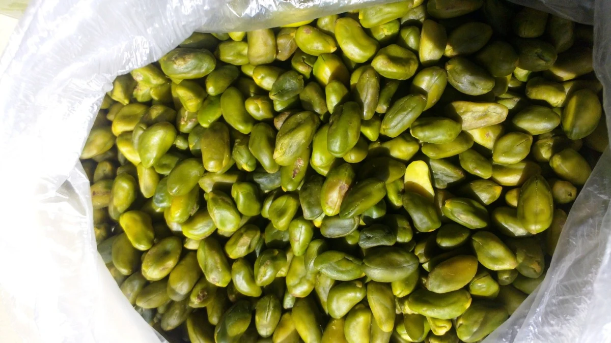 pistache