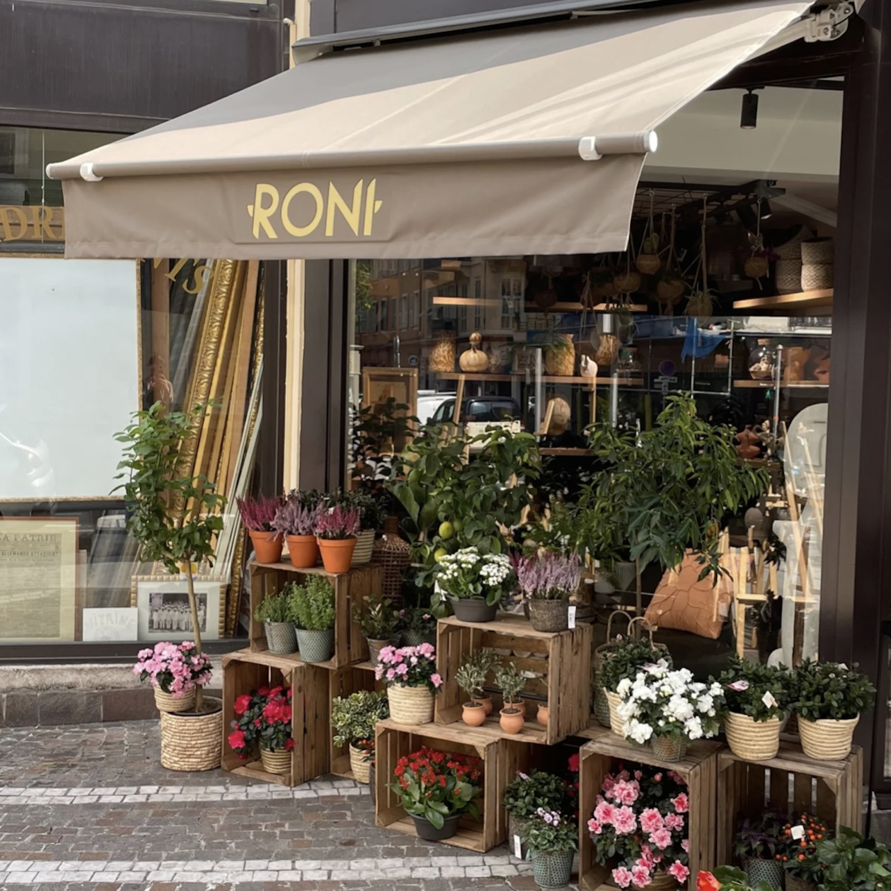 Boutique de fleurs RONI